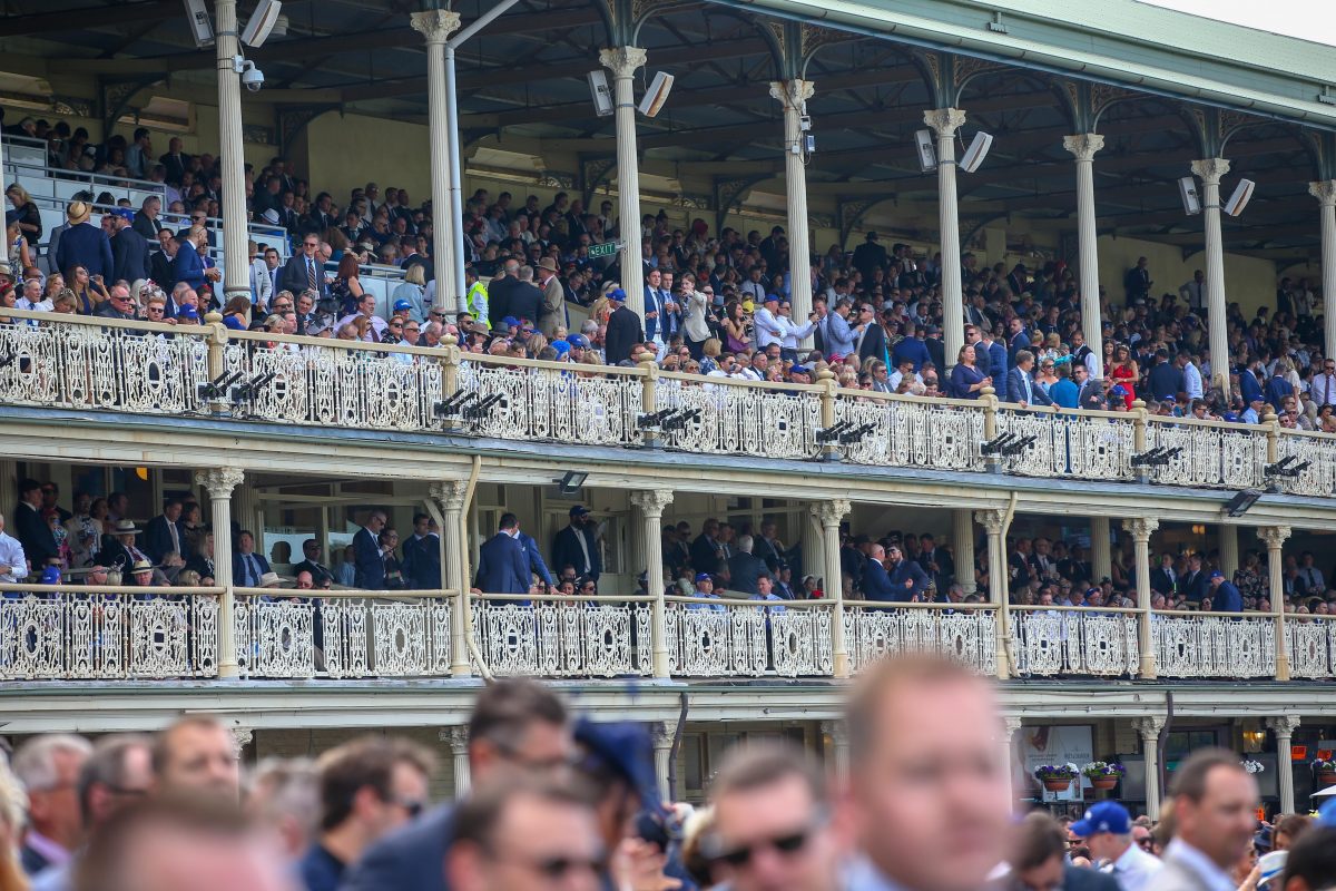 Official Stand 