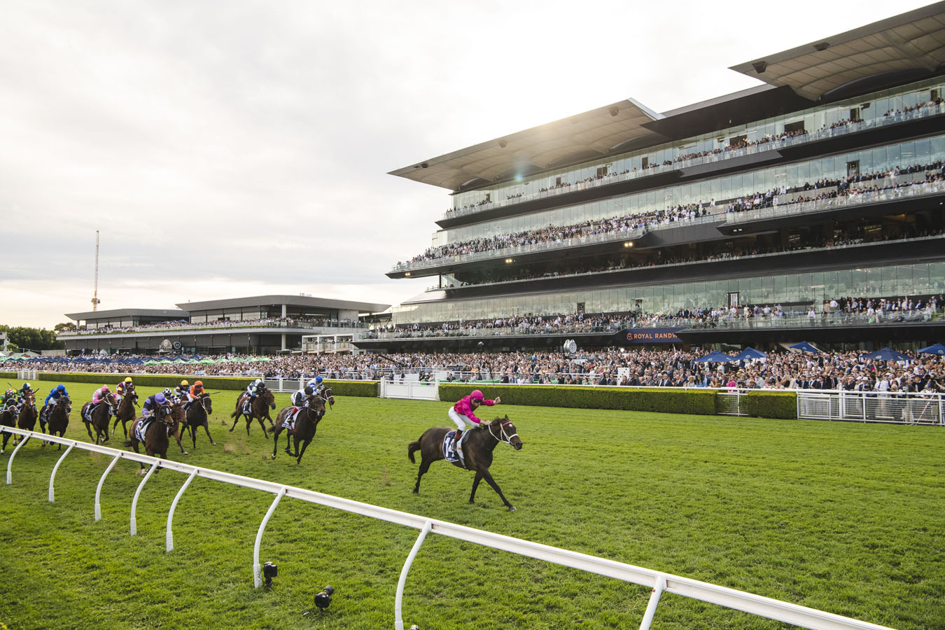 Royal Randwick Map
